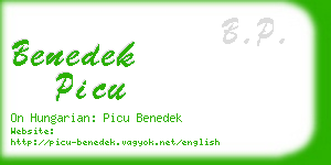 benedek picu business card